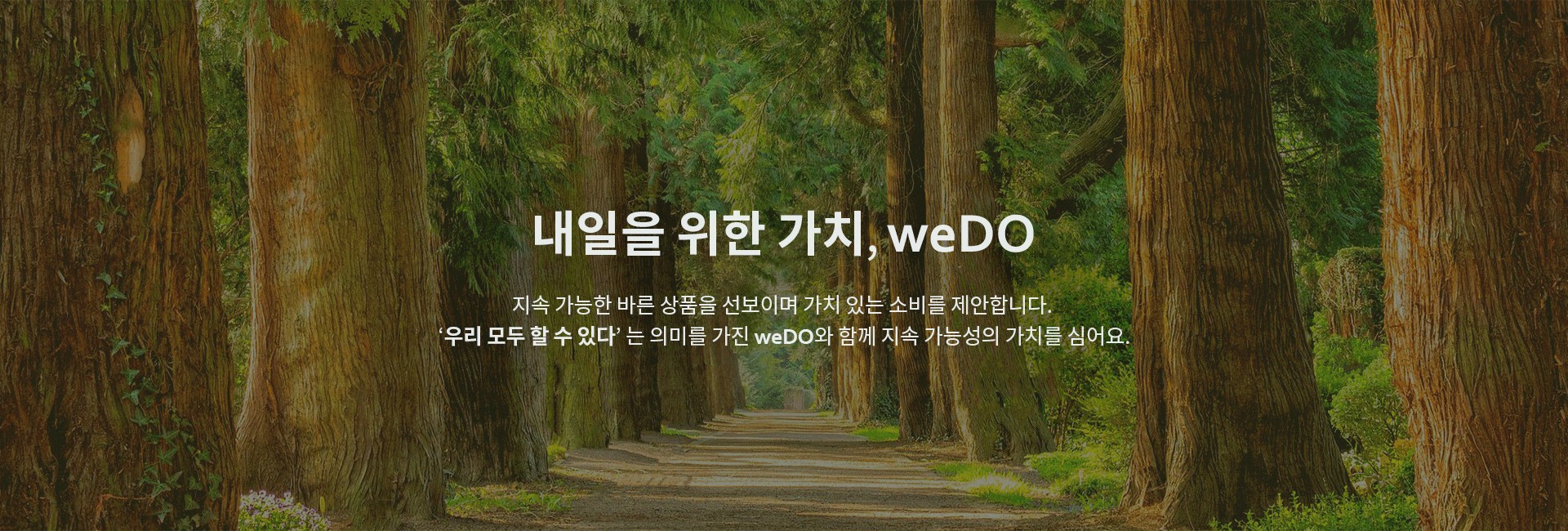 weDO 소개 