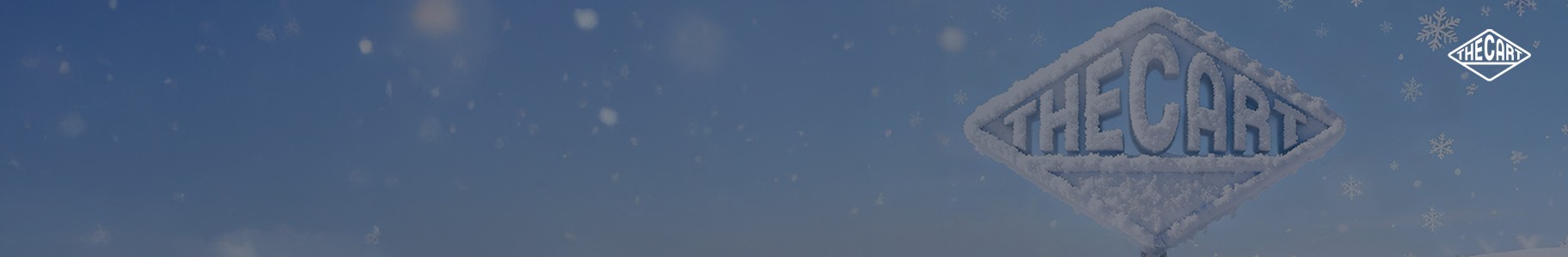 THE CART COUNTDOWN SALE