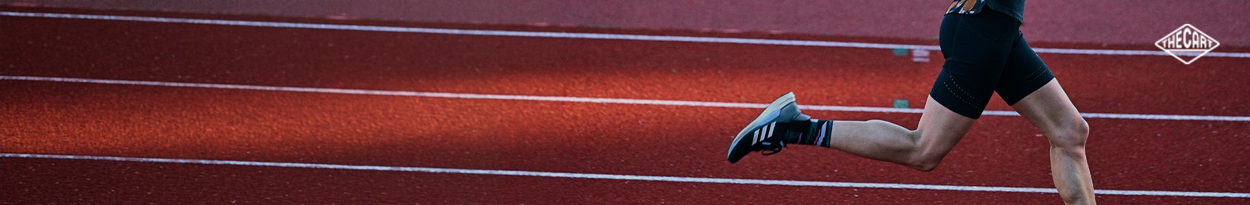 Curation with  [ RUNNING ]