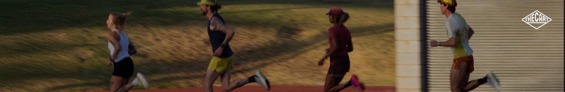 Curation with  [ RUNNING ]