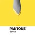 PANTONE Socks