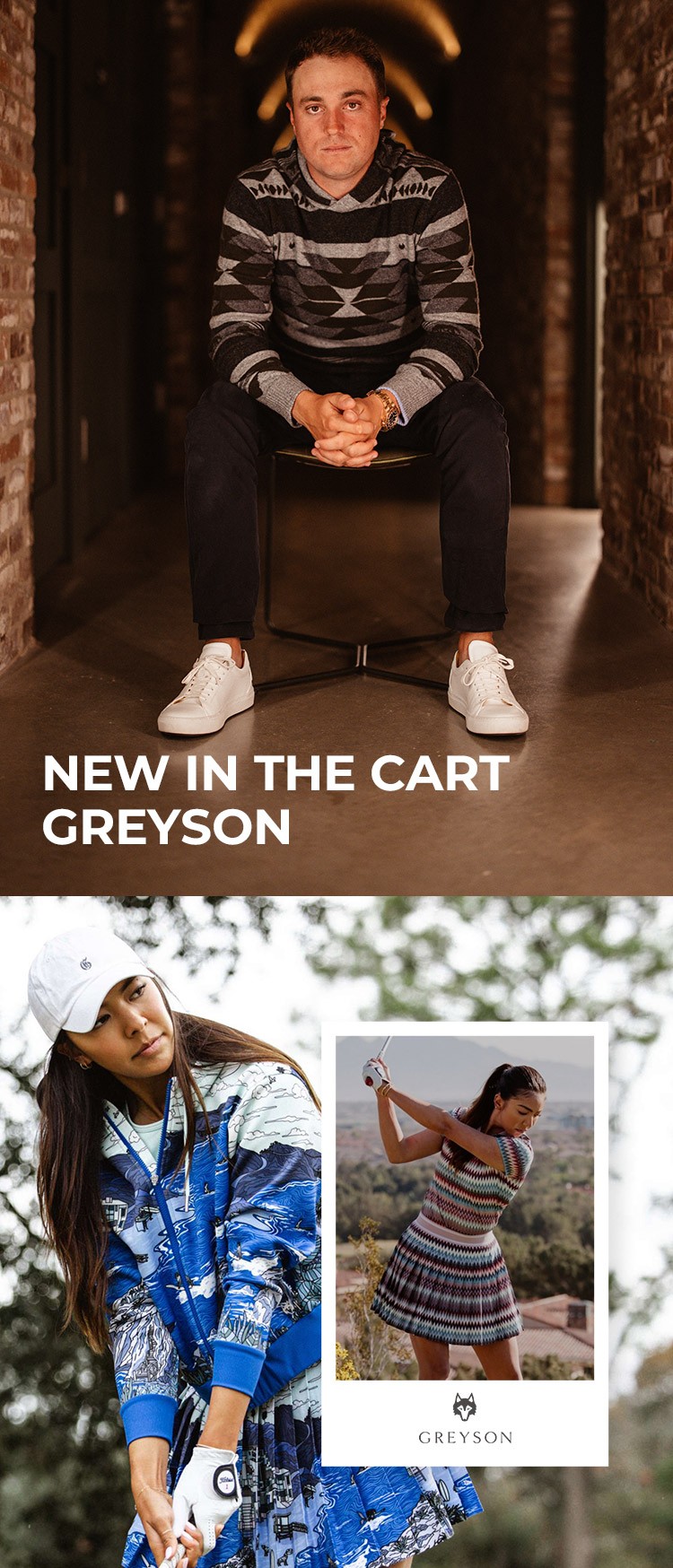 NEW IN THE CART GREYSON