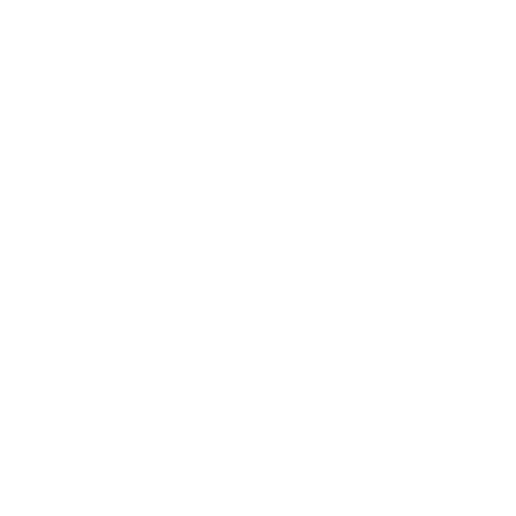 VOICE CADDIE