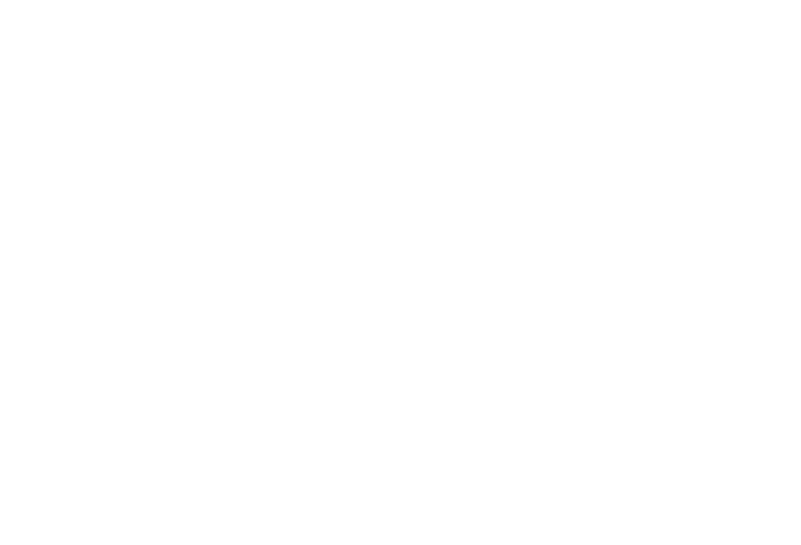 THE CART