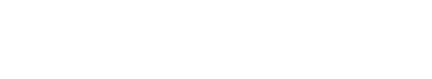 Active Wellness Lifestyle