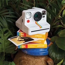 https://www.kolonmall.com/Brands/polaroid