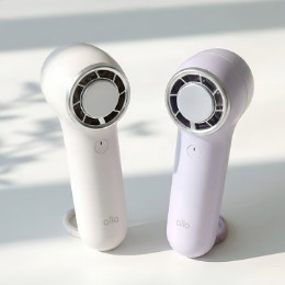 Cool! 알로코리아